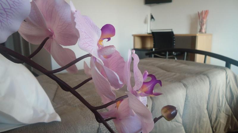 B&B Le Palme - Oda