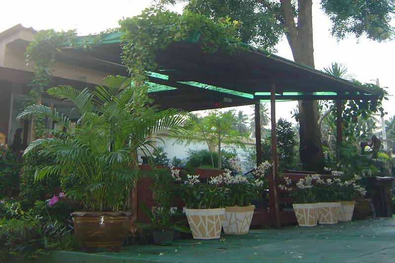 Coconut Home Resort by ZUZU - Genel