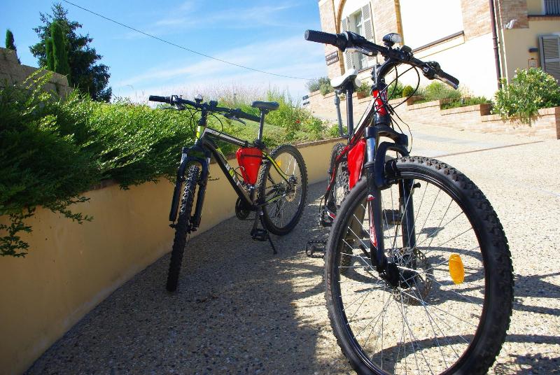 Naturalmente Wine Resort - Aktivite