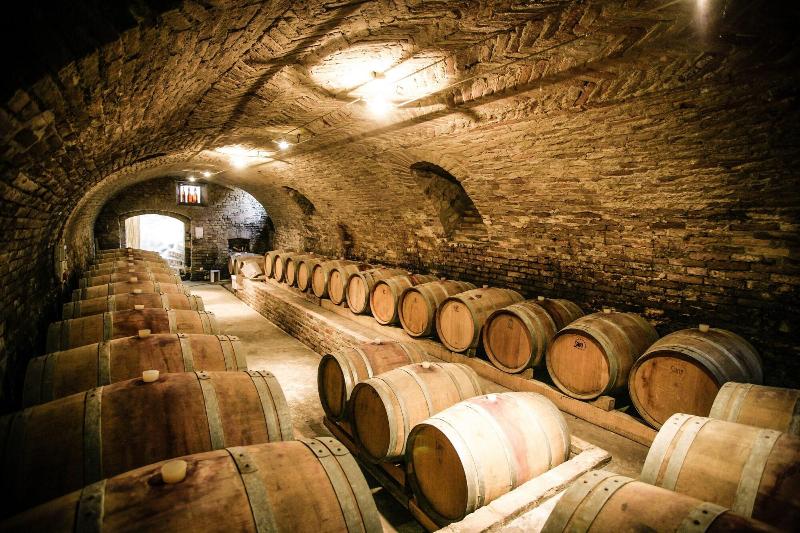 Naturalmente Wine Resort - Aktivite