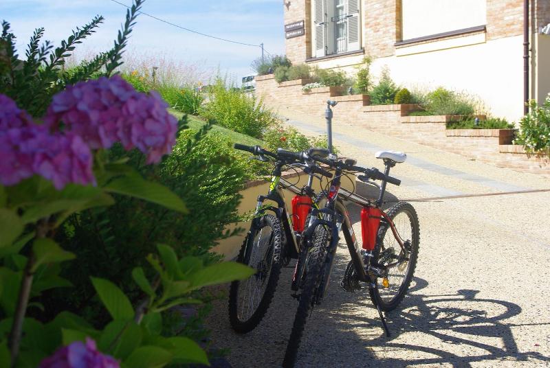 Naturalmente Wine Resort - Aktivite