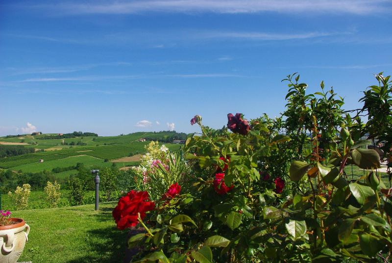 Naturalmente Wine Resort - Genel