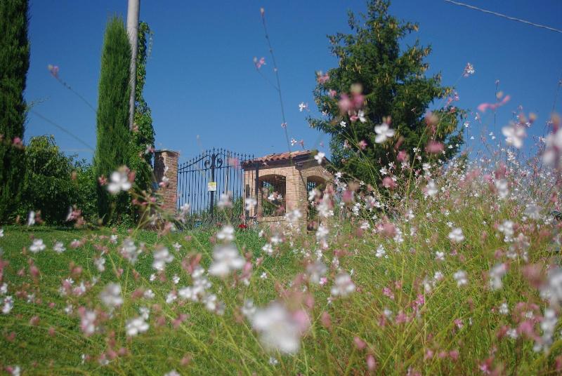 Naturalmente Wine Resort - Genel