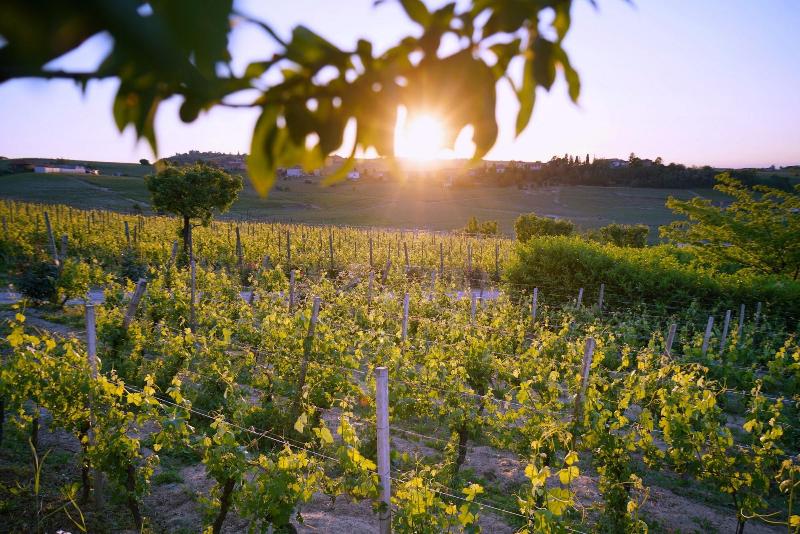 Naturalmente Wine Resort - Genel