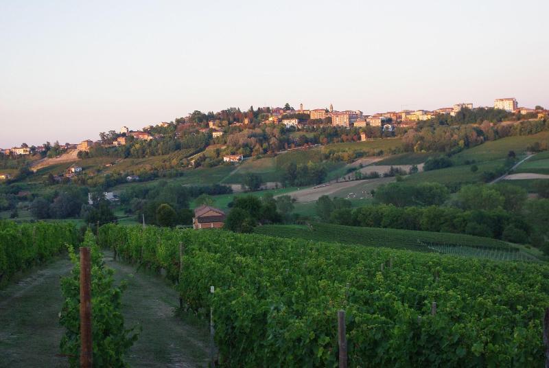 Naturalmente Wine Resort - Genel