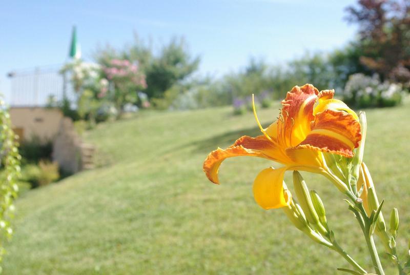 Naturalmente Wine Resort - Genel
