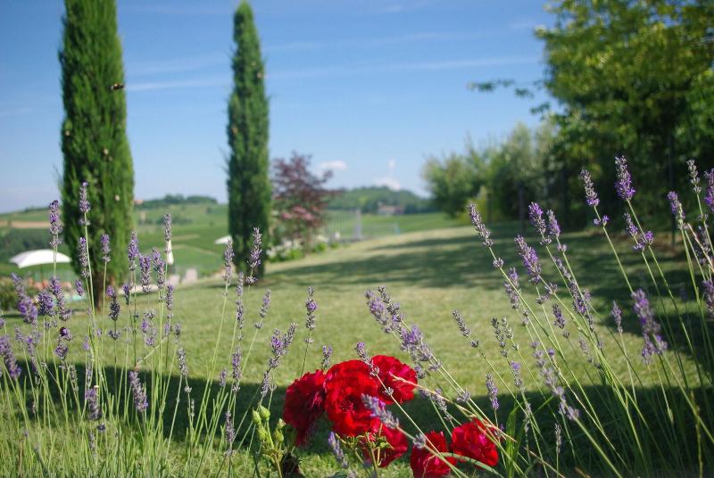 Naturalmente Wine Resort - Genel