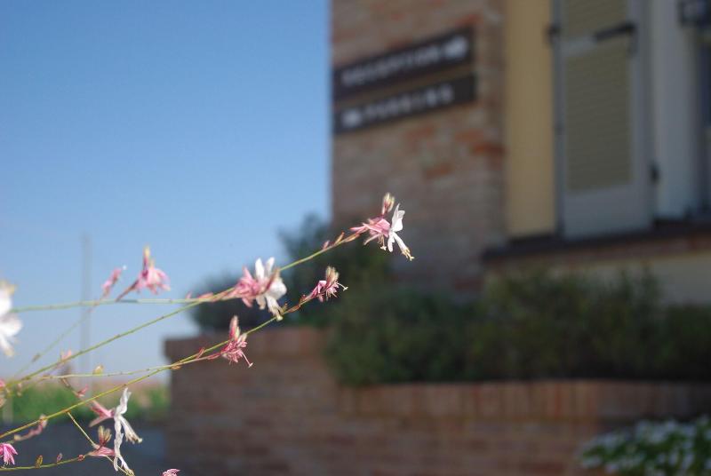 Naturalmente Wine Resort - Genel