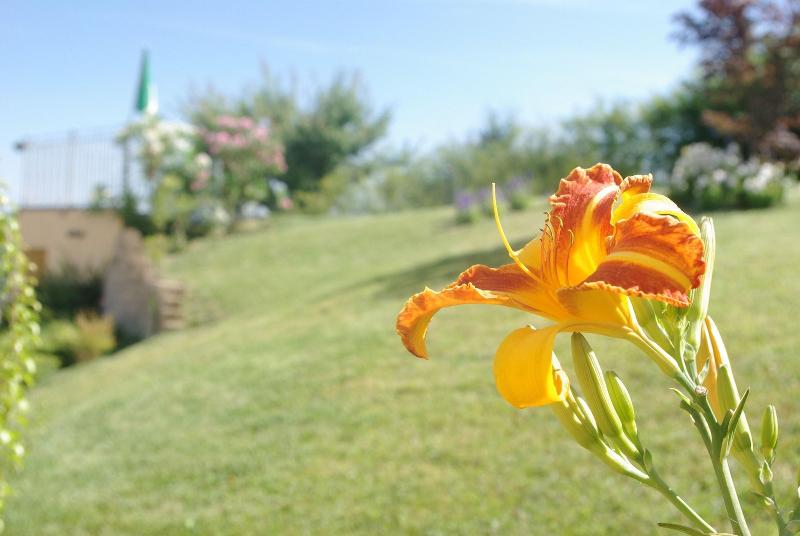 Naturalmente Wine Resort - Genel