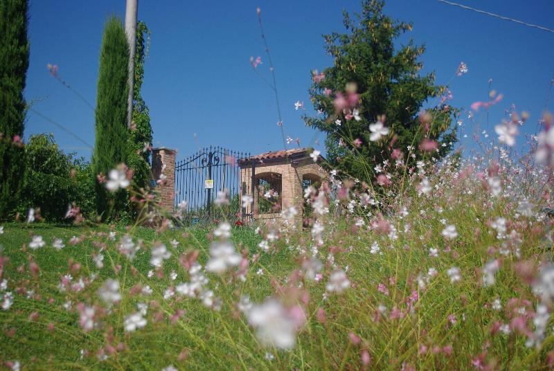Naturalmente Wine Resort - Teras