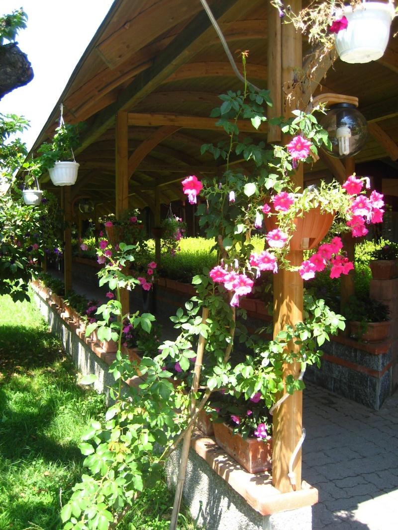 Hotel Ristorante La Perla - Teras