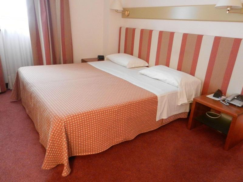 Eurohotel Palace Maniago - Oda