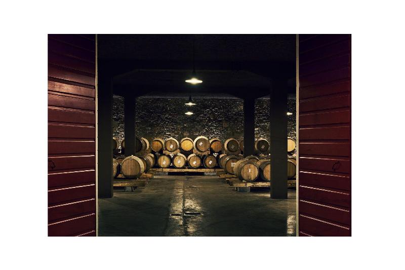 Castello Di Buttrio - Aktivite