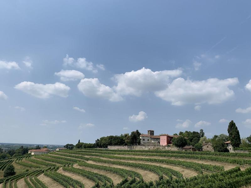 Castello Di Buttrio - Oda