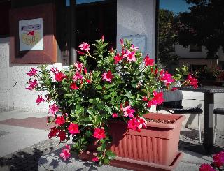 Hotel Casagrande fotoÄŸrafÄ±