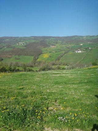 Fattoria Ca' di Fatino fotoÄŸrafÄ±