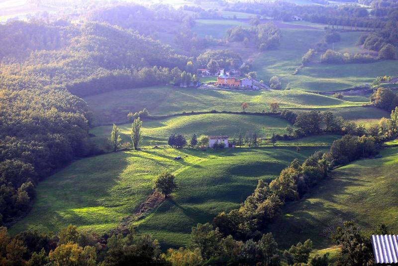 Fattoria Ca' di Fatino - Genel