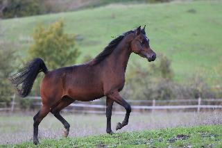 Fattoria Ca' di Fatino fotoÄŸrafÄ±