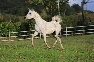 Fattoria Ca' di Fatino fotoÄŸrafÄ±