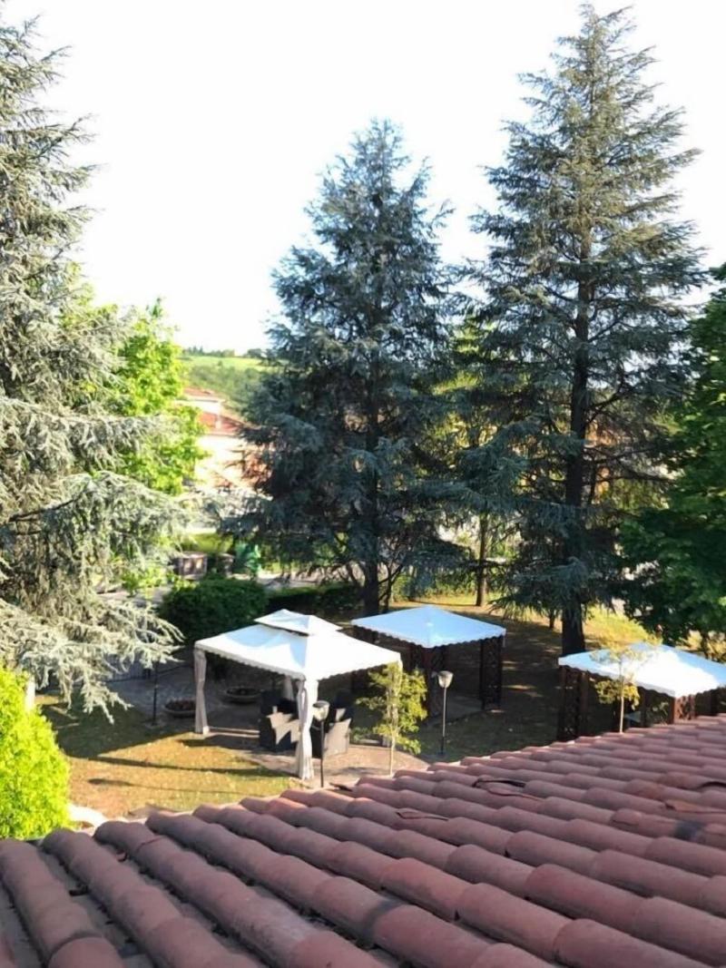 Hotel Ristorante Gallo D'Oro - Genel