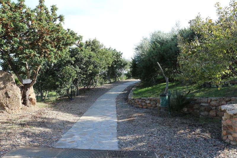 Il Castello - Genel