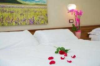 Hotel Delle Rose fotoÄŸrafÄ±