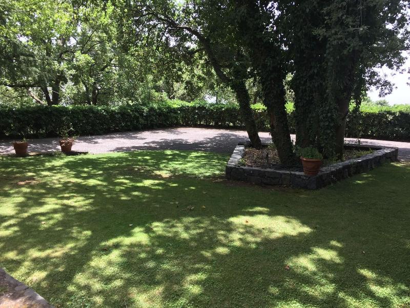 B&B Domus Verdiana - Genel