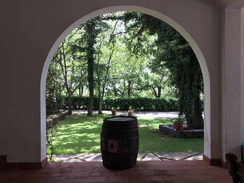 B&B Domus Verdiana - Teras