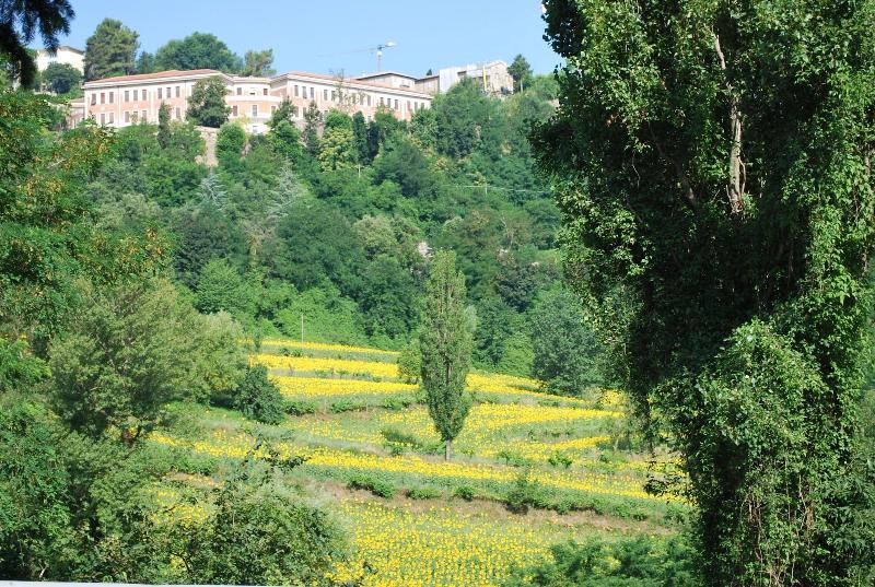 B&B Villa Paradiso - Genel