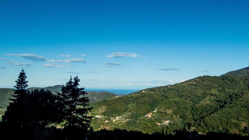 Oasi Verde - Genel