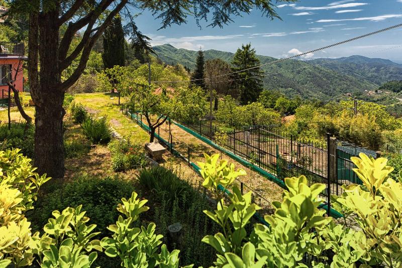 Oasi Verde - Genel