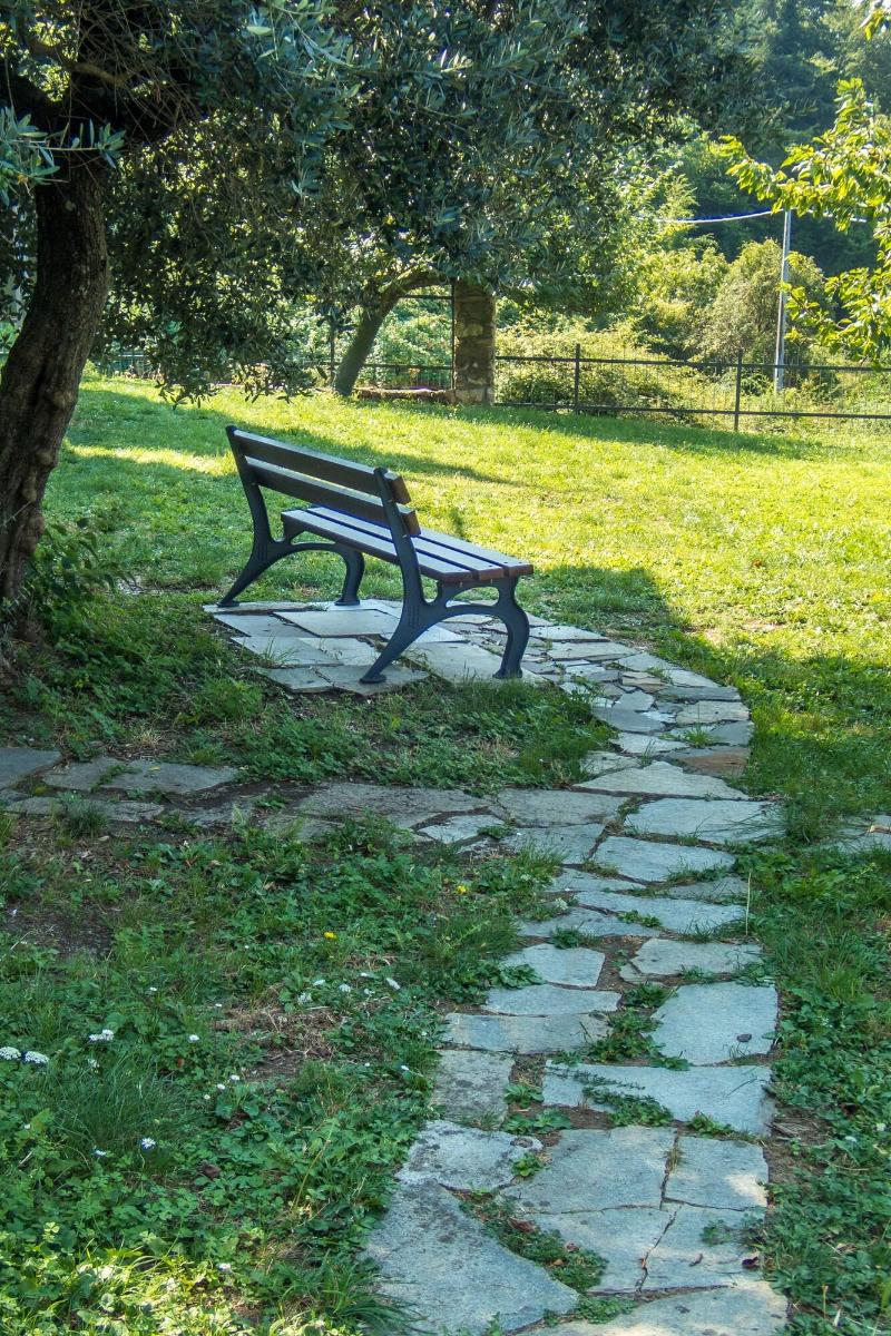 Oasi Verde - Genel
