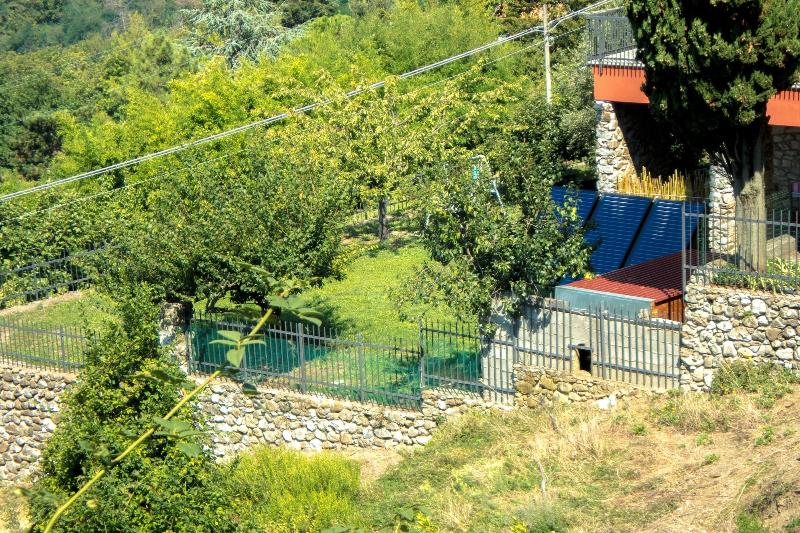Oasi Verde - Genel