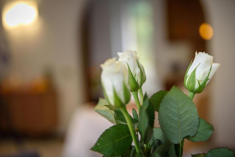 Bed And Breakfast Sweet Home - Lobi