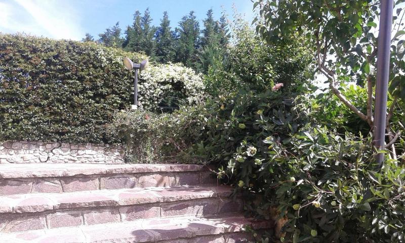 I Gelsomini - Genel