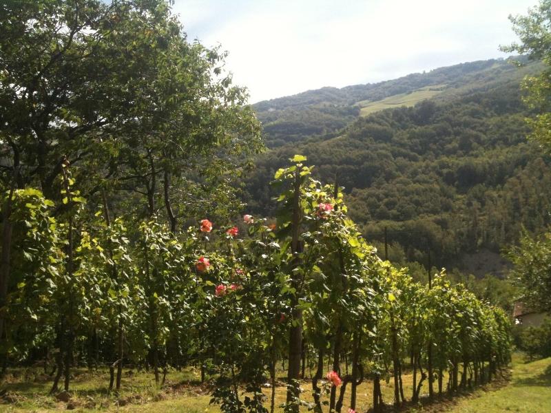 B&B Bosco dei Cervi - Genel