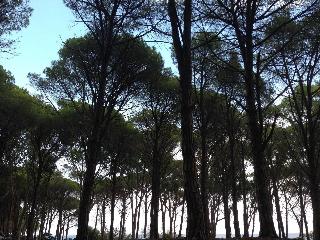Cavalli di S'Arcaite fotoÄŸrafÄ±
