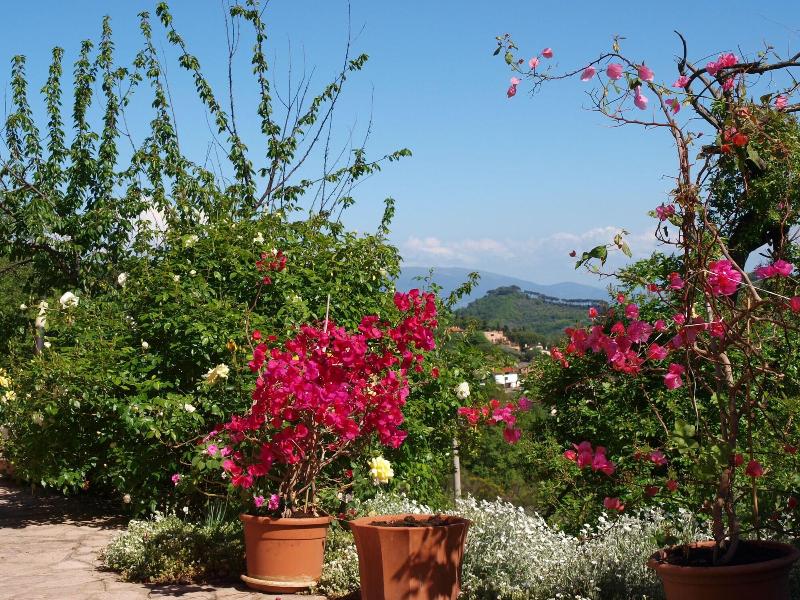 C'era una volta B&B - Genel