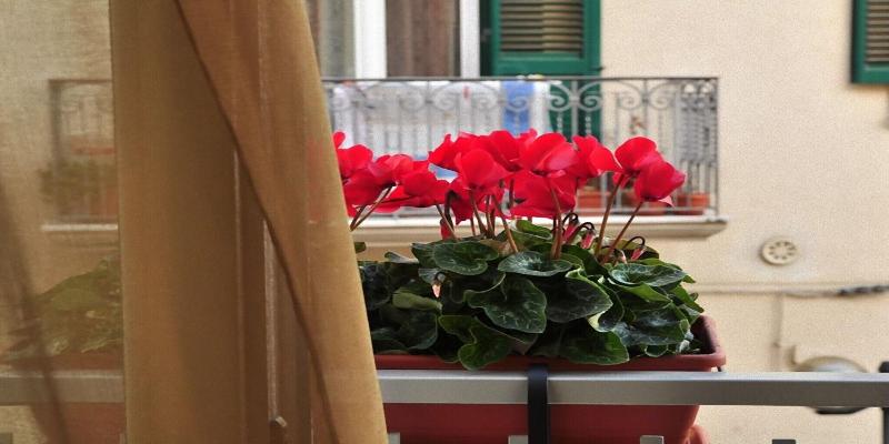 B&B Donna Eleonora - Oda