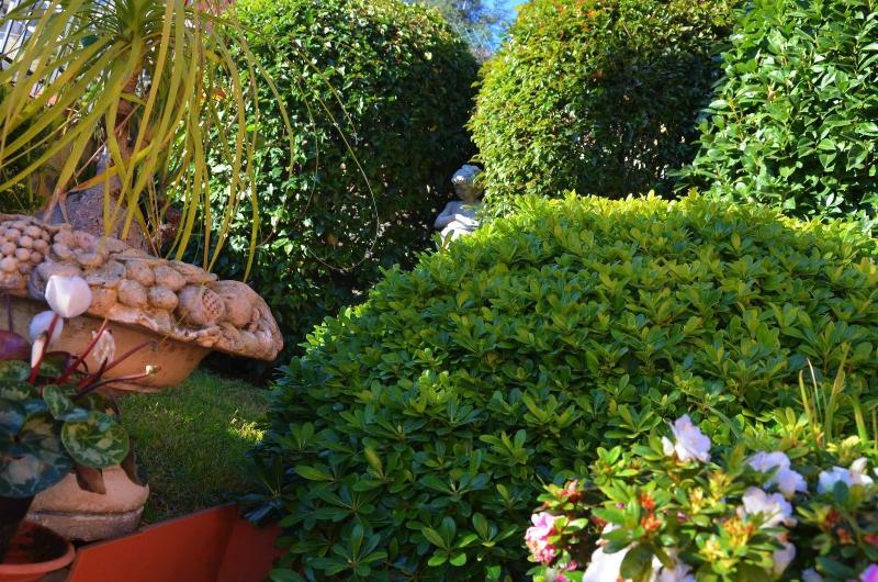 B&B Villa Hirschen - Genel