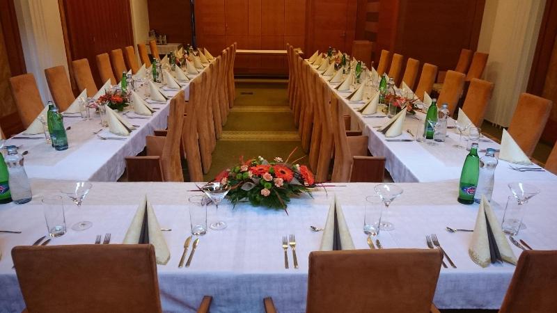 Hotel Iberia - Toplantı