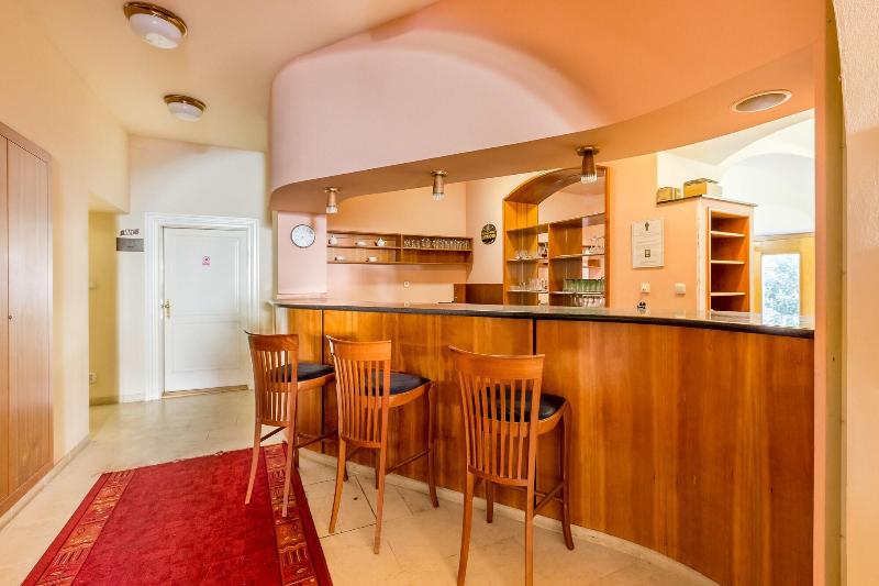 Hotel U Rytíře - Bar