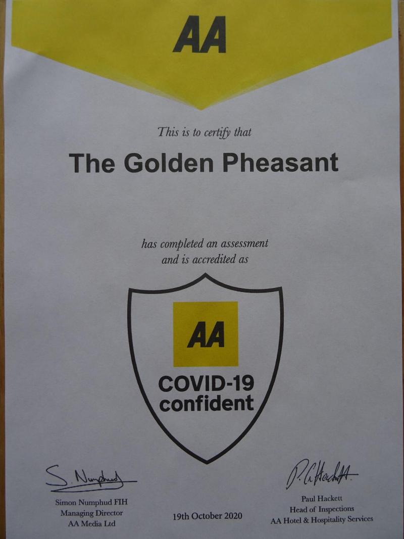 The Golden Pheasant - Aktivite