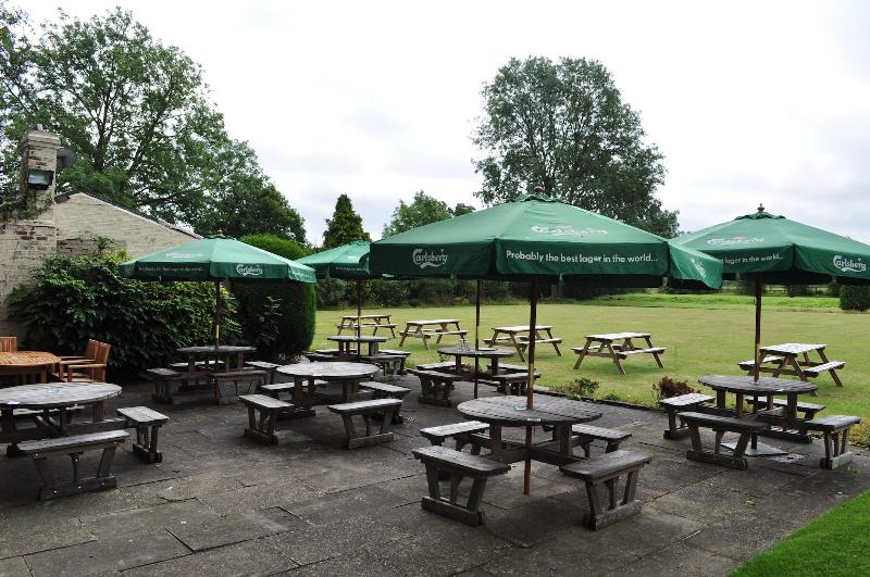 The Golden Pheasant - Teras