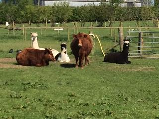 The Farm Burscough fotoÄŸrafÄ±