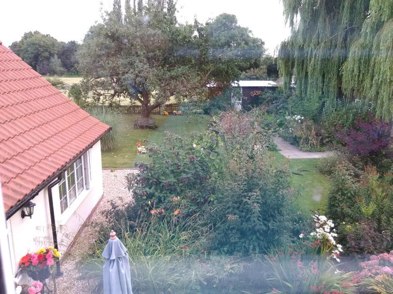 White Cottage B&B - Oda