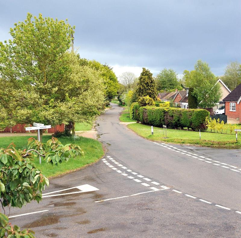 The Longham White Horse - Genel