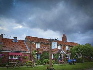 The Longham White Horse fotoÄŸrafÄ±