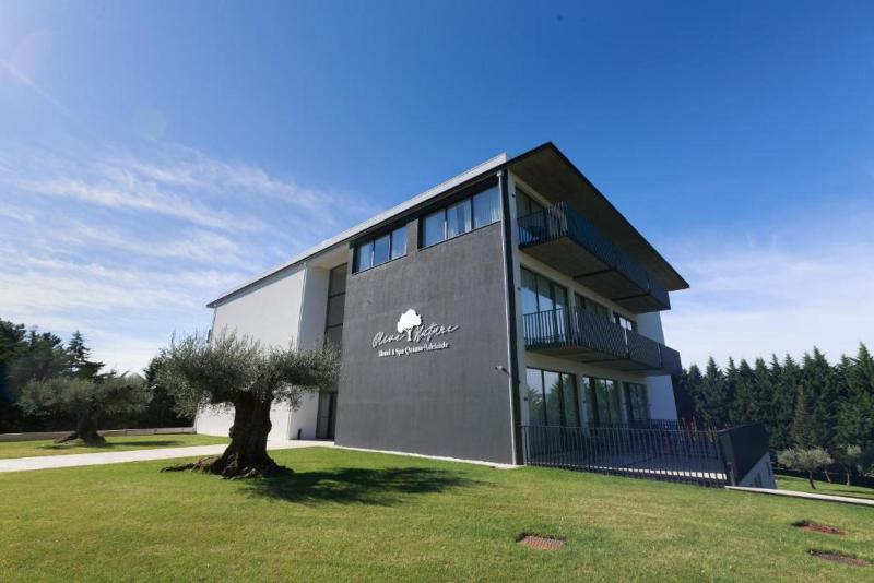 Olive Nature Hotel & SPA - Quinta Valle de Passos - Lobi