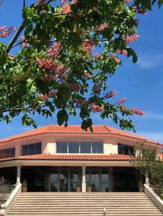 Olive Nature Hotel & SPA - Quinta Valle de Passos fotoÄŸrafÄ±